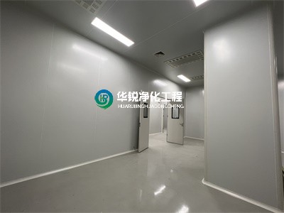 净化工程中的特点？